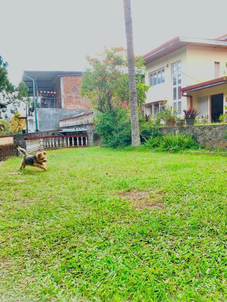 No 06 Veediya Bandara Lane Bahirawakanda Kandy Exterior photo